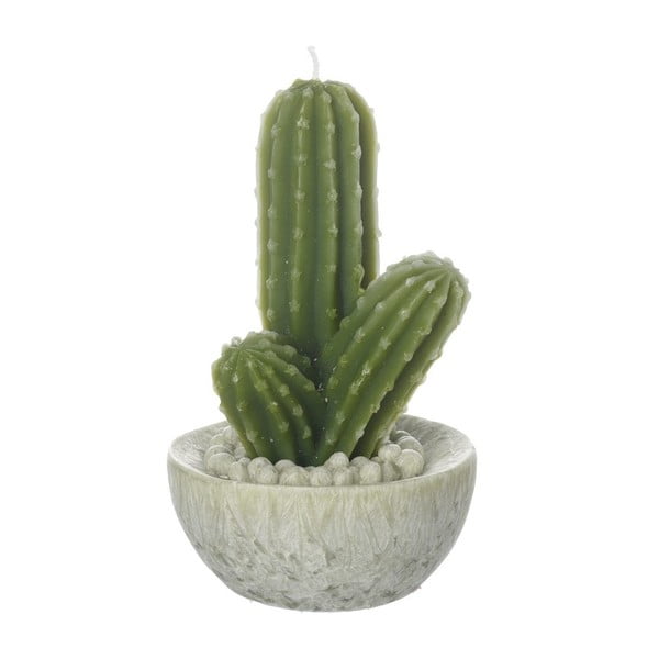 Świeczka Heaven Sends Cactus
