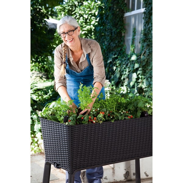 Doniczka Easy Grow – Keter-image-3