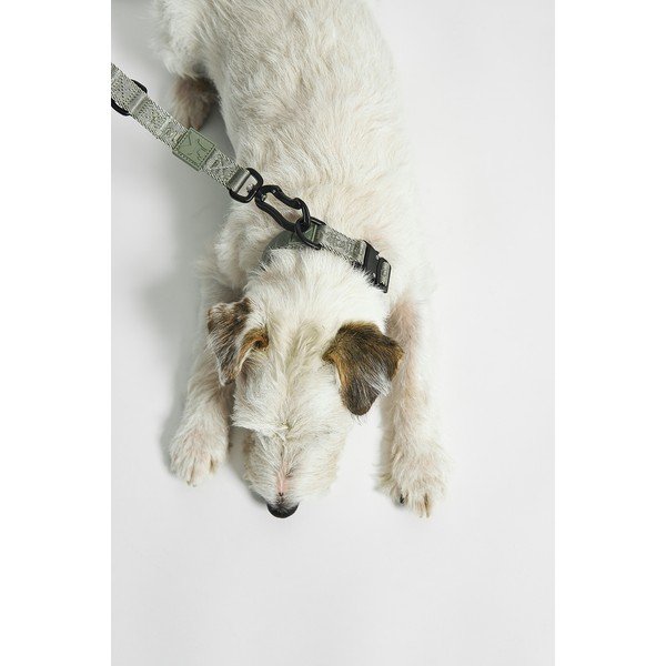 Zielona obroża w rozmiarze M/L długość 35 cm Modena Grolive M/ML – MiaCara-image-4