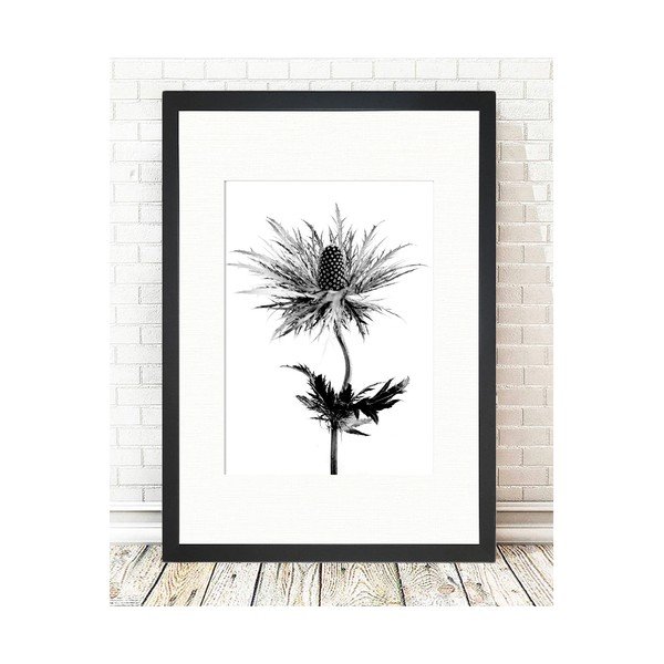 Plakat 24x29 cm Thistle Vibes – Tablo Center-image-1