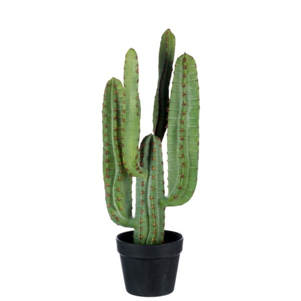Roślina dekoracyjna J-Line Cactus, wysokość 69 cm