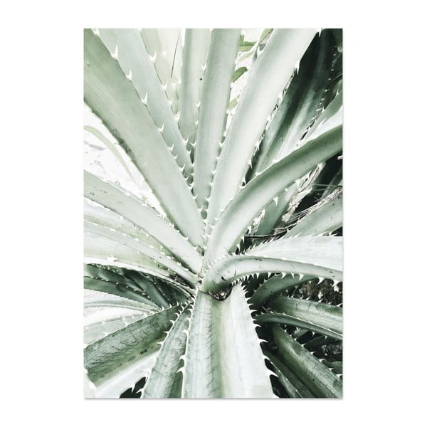 Plakat HF Living Botanic Palm, 21x30 cm