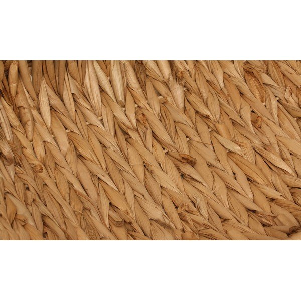 Miska Cane-image-3