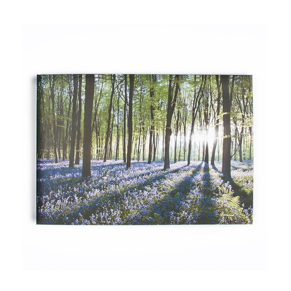 Obraz Graham & Brown Bluebell Landscape, 100x70 cm