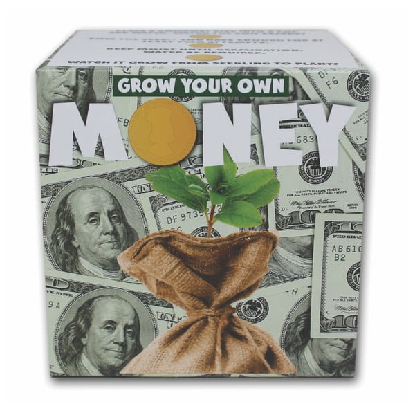 Zestaw do uprawy roślin Gift Republic Money