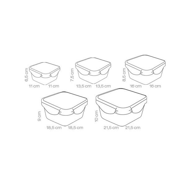 Pojemniki 5 szt. na żywność Freshbox – Tescoma-image-2