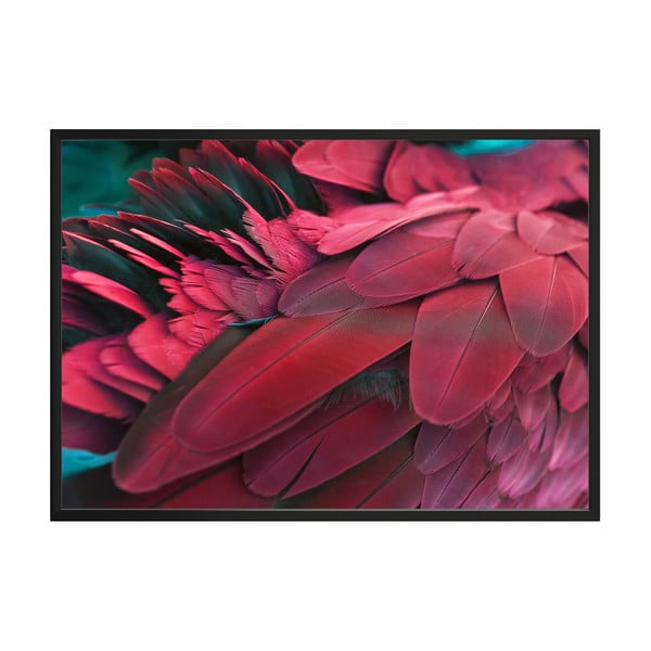 Plakat DecoKing Feathers Red, 70x50 cm