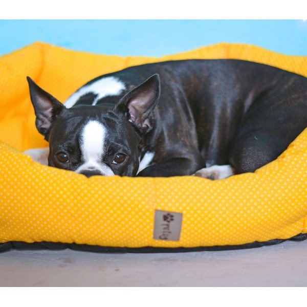 Żółte bawełniane legowisko 75x60 cm Sunny – Petsy-image-1