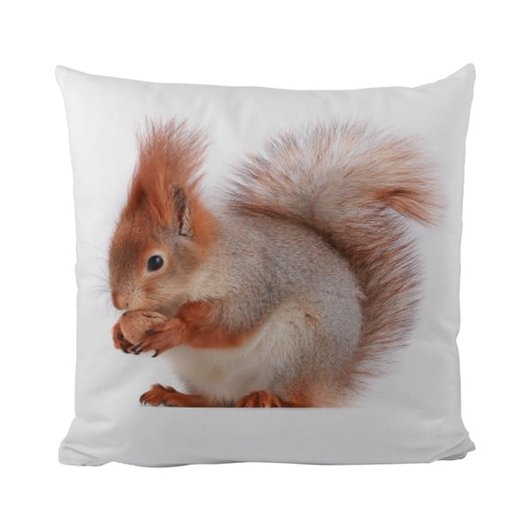 Poduszka
  This Squirrel, 50x50 cm