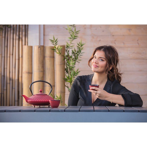 Czerwony czajnik Bredemeijer Xilin, 1,25 l-image-4