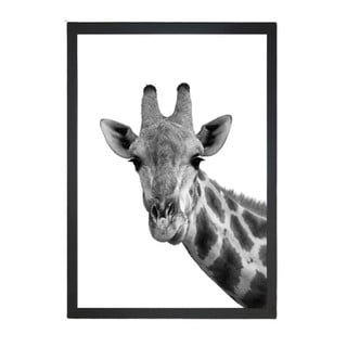 Obraz Tablo Center Giraffe Portrait, 24x29 cm