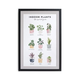 Obraz w ramie Really Nice Things Indoor Plants, 30x40 cm