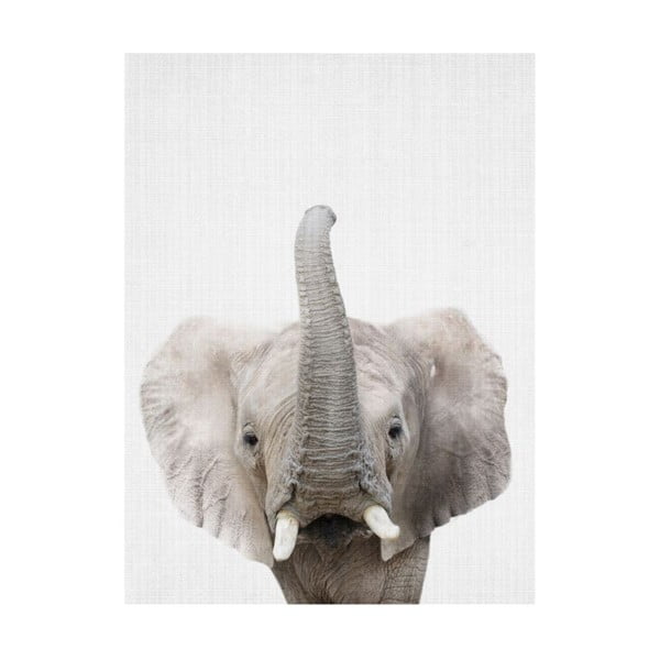Plakat Blue-Shaker Baby Animals Elephant, 30x40 cm