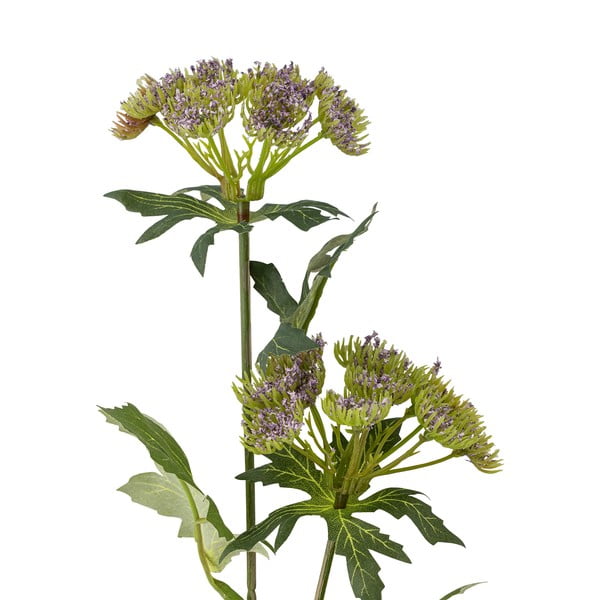 Sztuczna roślina (wysokość 49 cm) Throatwort – Bloomingville-image-2