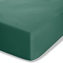 Ciemnozielone prześcieradło z perkalu z gumką 90x190 cm Easy Iron Percale – Catherine Lansfield