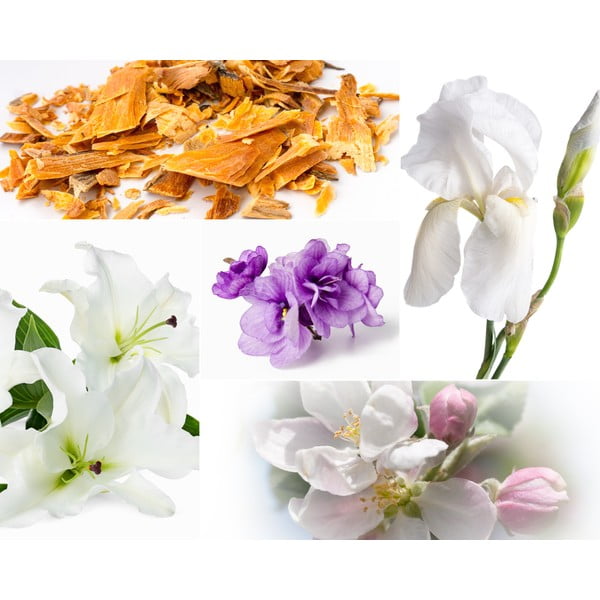 Zapachowa sojowa świeca czas palenia 60 h Muscs Poudres – Privé Home-image-2