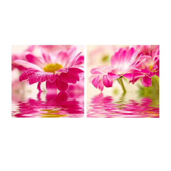 Zestaw obrazów na szkle Kwiat, 30x30 cm, 2 szt