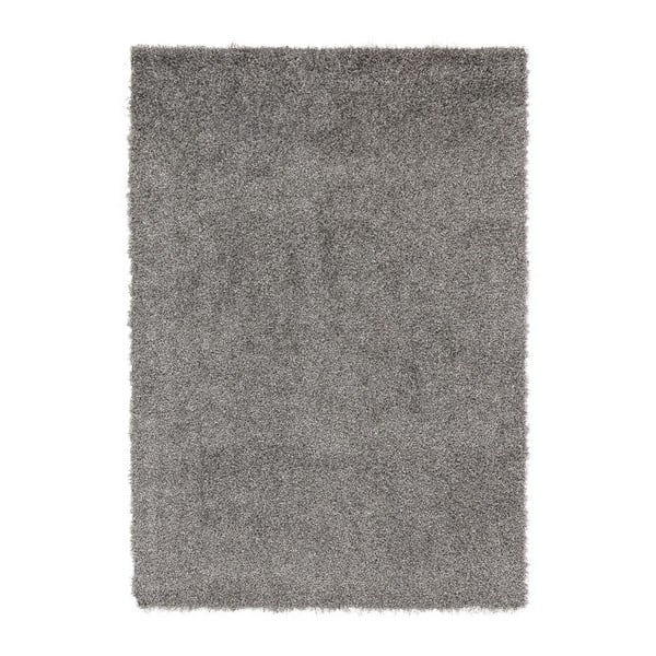 Szary dywan Ixia Forlan, 160x230 cm