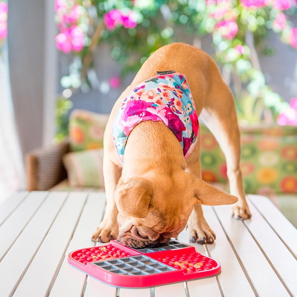 Mata do lizania Slomo Red – LickiMat-image-1