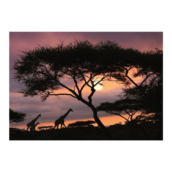 Fototapeta African Safari, 400x280 cm