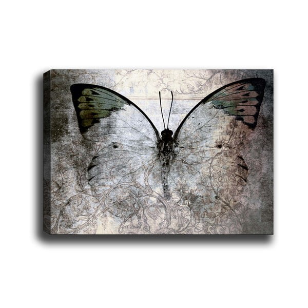 Obraz Tablo Center Fading Butterfly, 70x50 cm