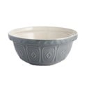 Szara kamionkowa misa ø 24 cm Colour Mix – Mason Cash