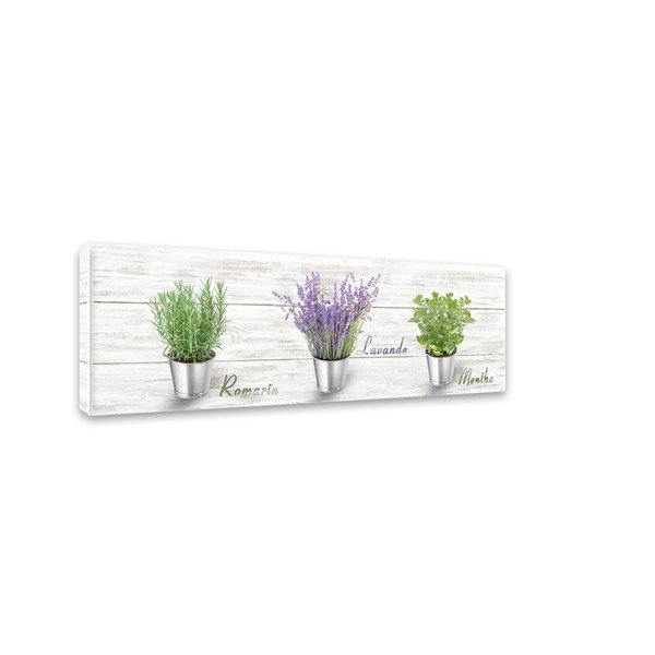Obraz Styler Canvas Shabby Herbs, 27x75 cm-image-2
