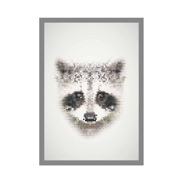 Plakat Racoon, A3-image-1