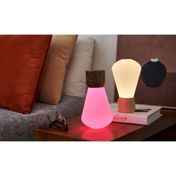 Naturalna lampa stołowa ze ściemniaczem (wys. 13 cm) Pentagon – Gingko-image-3