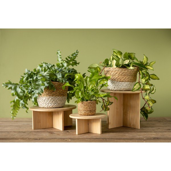 Bambusowy kwietnik ø 25 cm (wysokość 19,5 cm) – Esschert Design-image-3