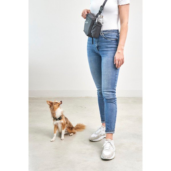 Torba spacerowa na psie akcesoria Andiamo Asphalt – MiaCara-image-3