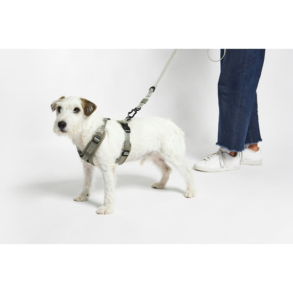 Zielone szelki dla zwierząt w rozmiarze M długość 35 cm Modena Grolive M – MiaCara-image-2