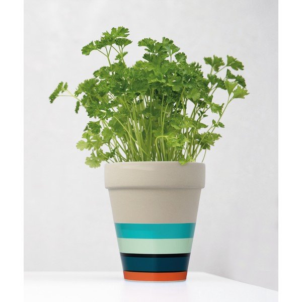 Doniczka Remember Menta, S-image-1