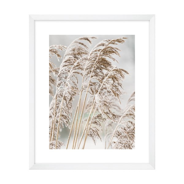 Plakat 40x50 cm Frost