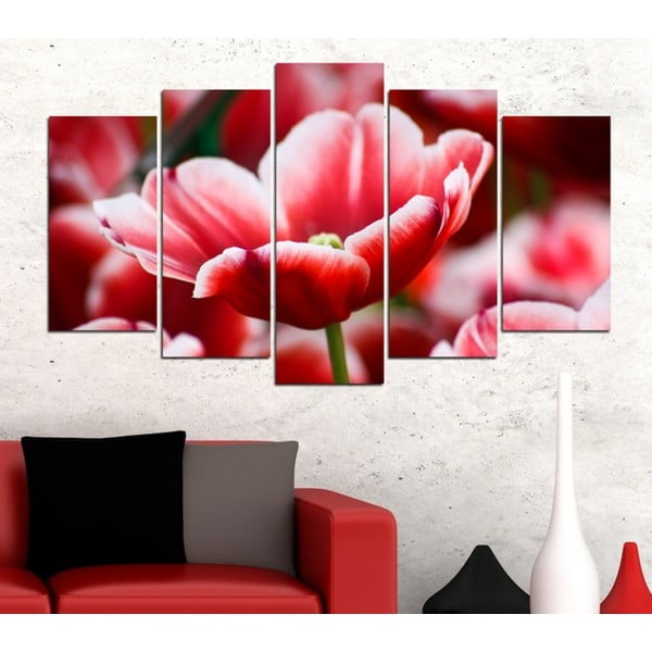5-częściowy obraz Tulipan
