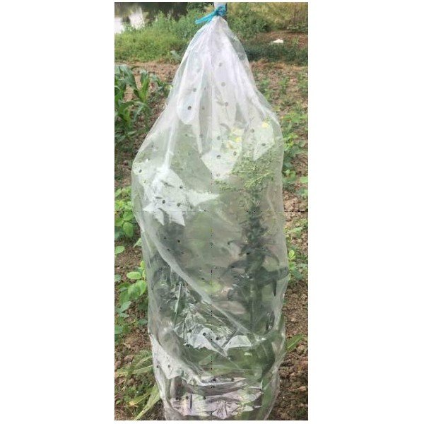 Plandeka ogrodowa 5 szt. – Garden Pleasure