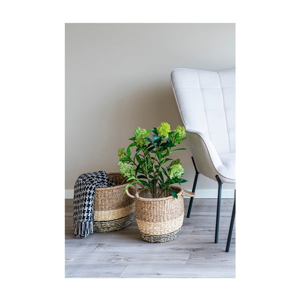 Sztuczna roślina Skimmia – House Nordic-image-2