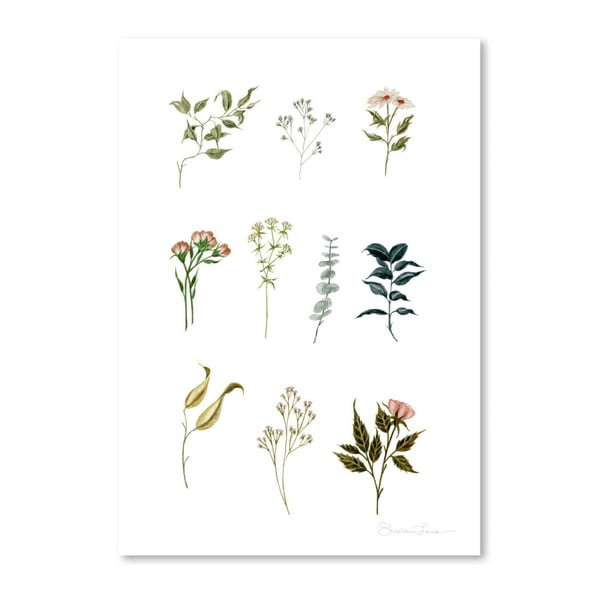 Plakat Americanflat Delicate Botanica Lpieces by Shealeen Louise, 30x42 cm