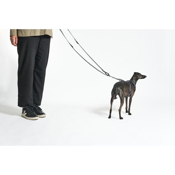 Beżowa smycz przepinana długość 200 cm Modena Greige 20 mm – MiaCara-image-2