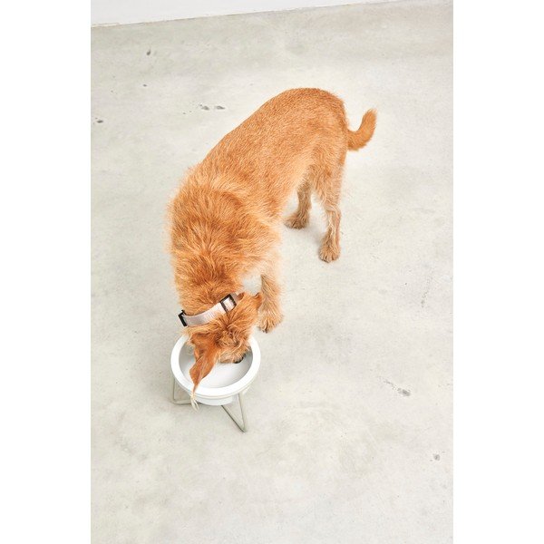 Porcelanowa miska ze stojakiem dla psów ø 20 cm Pranzo Greige M – MiaCara-image-4