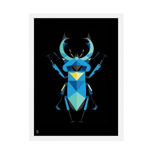 Plakat Stag Beetle Black, 50x70 cm