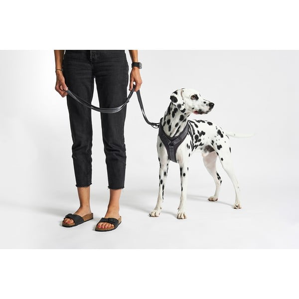 Ciemnoszare szelki dla zwierząt w rozmiarze L długość 42 cm Modena Asphalt L – MiaCara-image-1