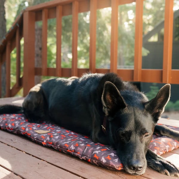 Brązowe legowisko podróżne dla psów 45x60 cm Outdoor Chill Pad Mocha S – P.L.A.Y.-image-1