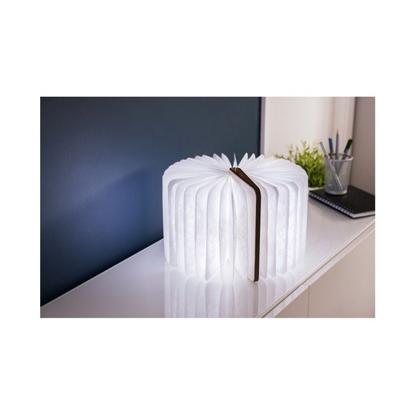 Dekoracja świetlna na USB w naturalnym kolorze Booklight – Gingko-image-3