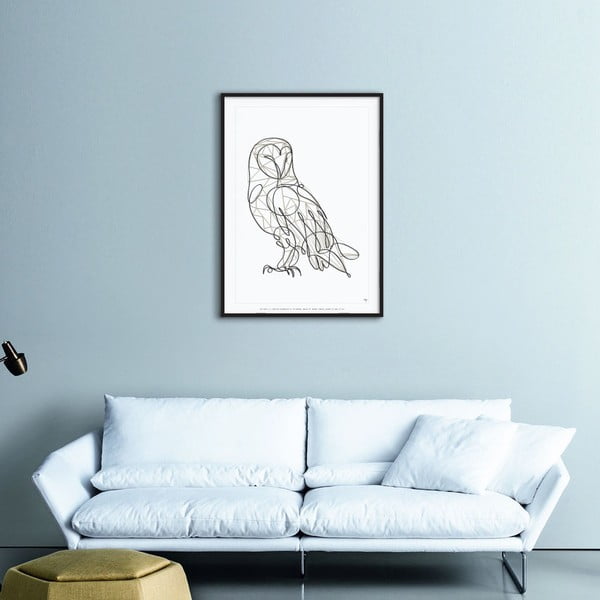 Plakat Barn Owl