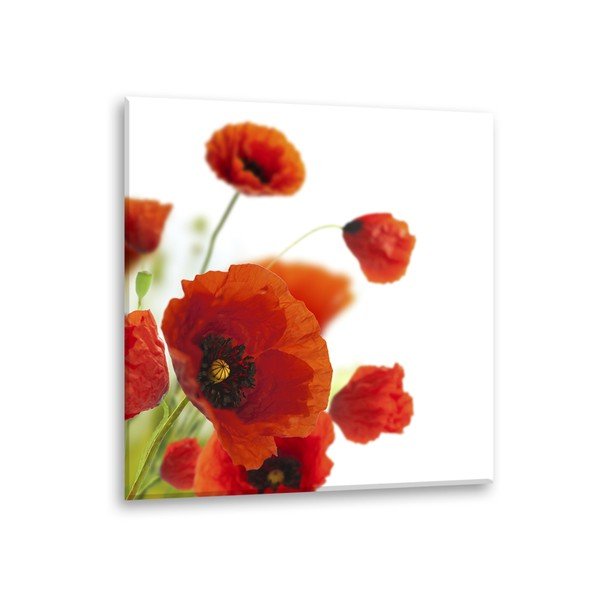 Obraz Styler Glas Maki Poppies, 30x30 cm-image-2