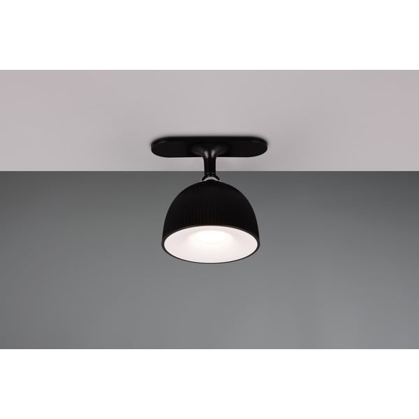 Czarna lampa stołowa LED ze ściemniaczem i klipsem (wys. 41 cm) Maxima – Reality-image-3