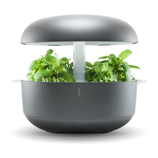 Szary inteligentny ogródek domowy Plantui 6 Smart Garden Grey