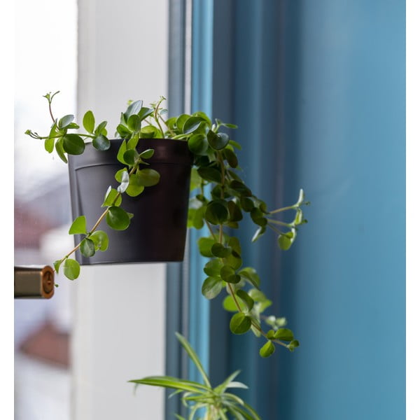 Plastikowe wiszące i ścienne doniczki zestaw 2 szt. ø 10 cm – Esschert Design-image-4