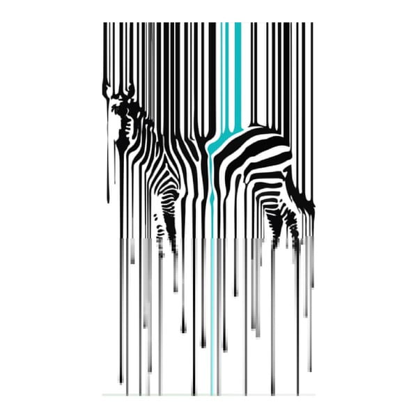 Obraz na płótnie Zebra, 70x100 cm